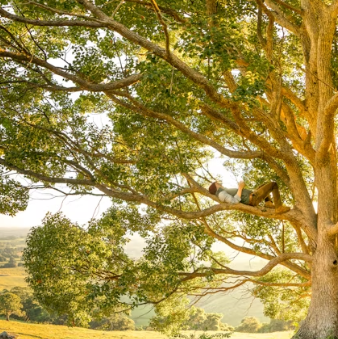 대상포진 치료방법 진단 기준 합병증