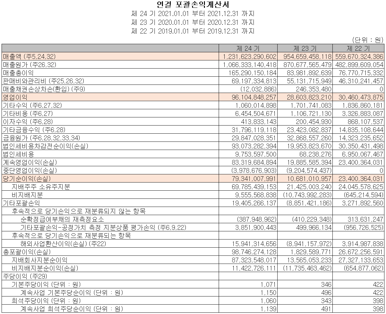 드림텍 - 손익계산서