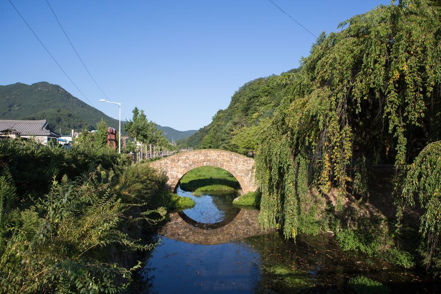 생생정보 창녕 유채꽃 우포늪 안리마을 여행