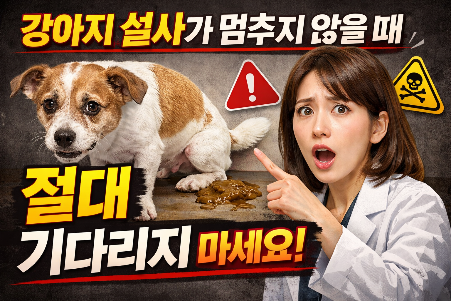 강아지 설사
