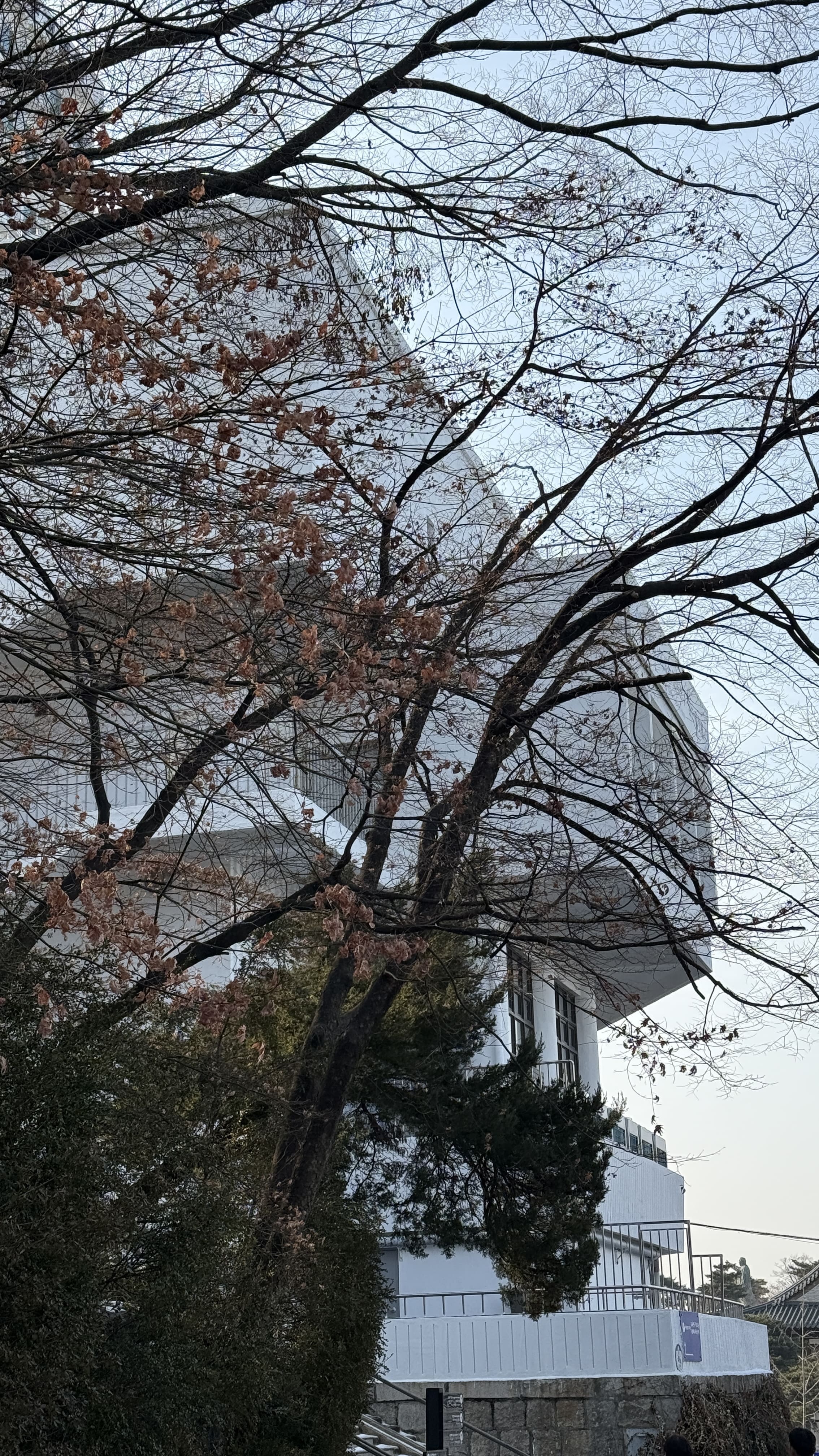 남산도서관, 남산타워 바로 앞 서울 가볼 만한 곳