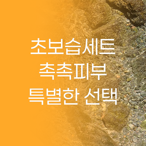 수려한 초보습 2종 세트 촉촉한 피부