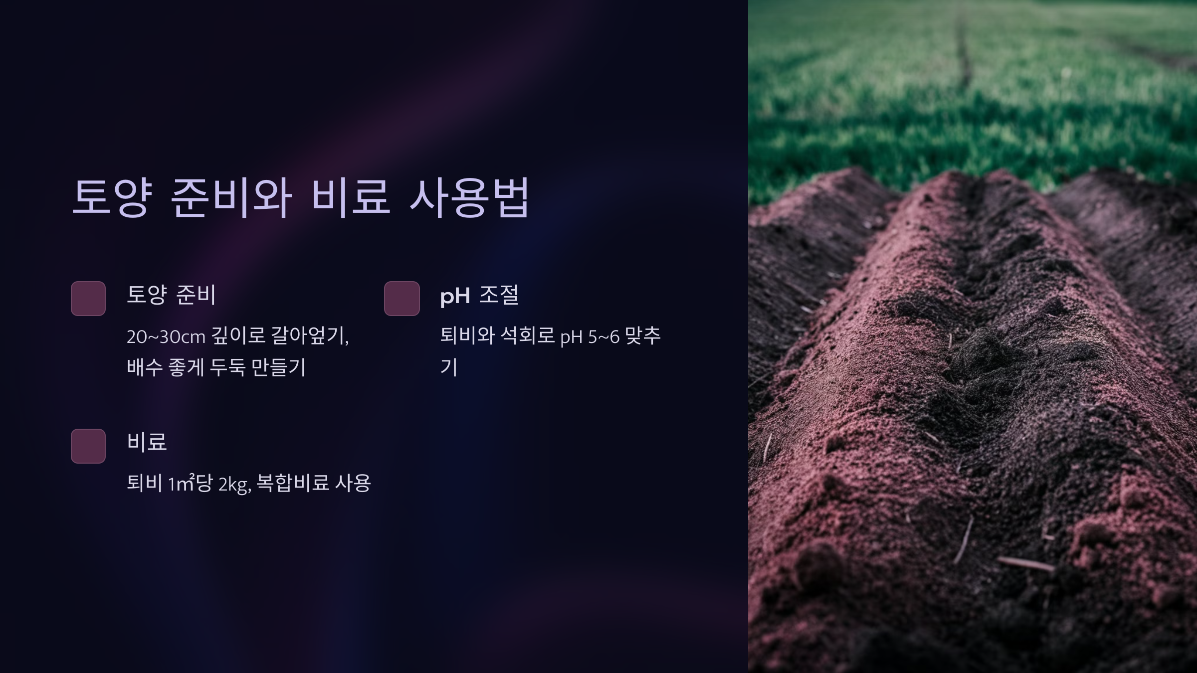 토양 준비와 비료 사용법