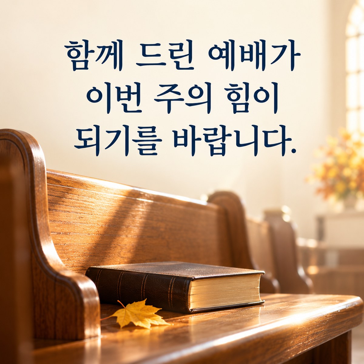 추수감사절 카톡 인사말 예배후 카드 &mdash; 예배 후 햇빛이 남은 나무 의자와 닫힌 성경