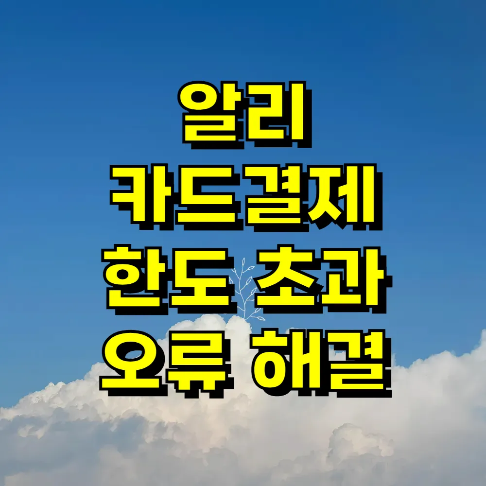 알리 카드결제 한도 초과 오류 해결