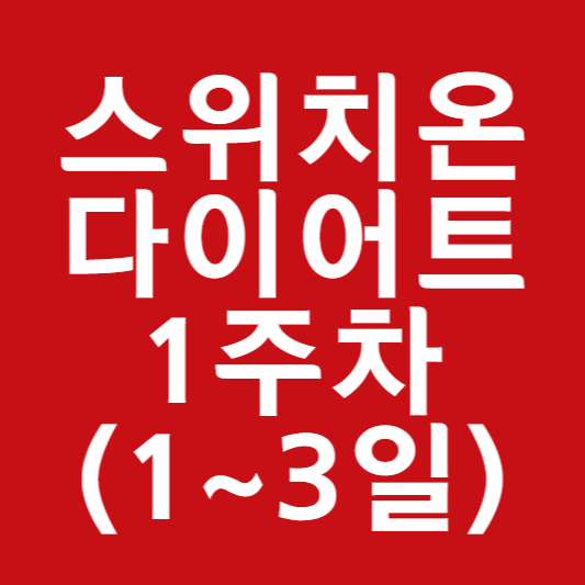 스위치온 다이어트
