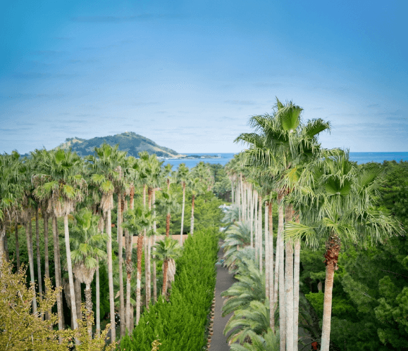 현재-금능해변-한국관광공사