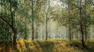 집먼지 알레르기 줄이는 방법!! 생활 습관부터 선택 관리까지&amp;#44; 집에서 할 수 있는 정리 가이드