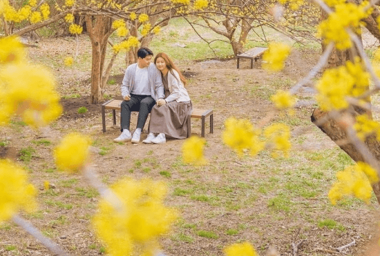 이천백사 산수유