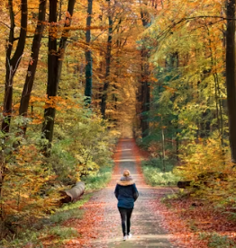 기대수명 자동 계산기 이란