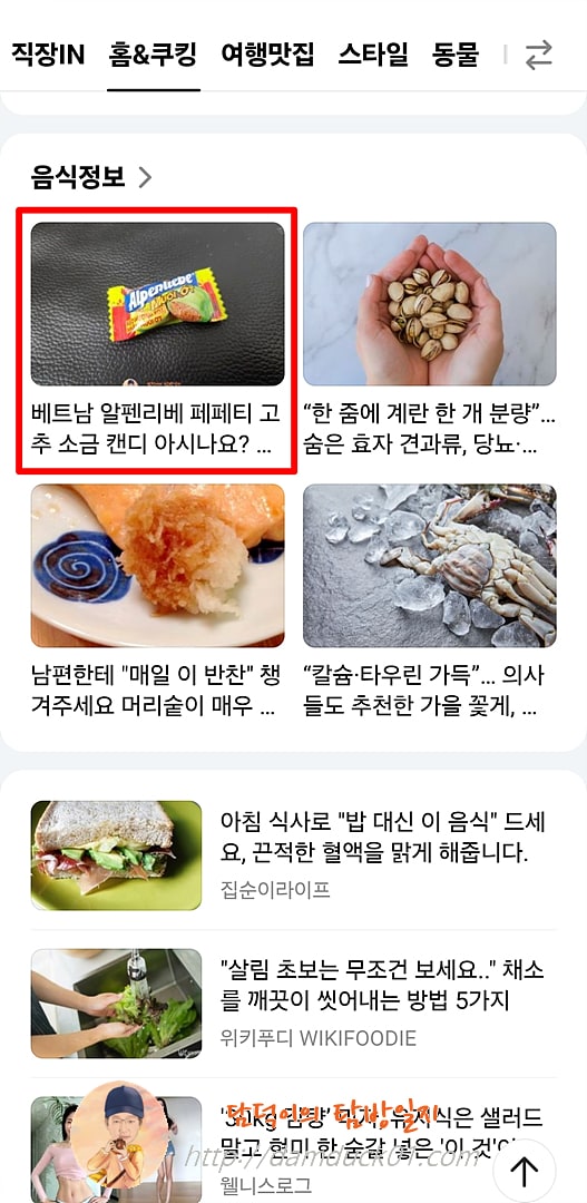 2025년 8월 28일 목요일 다음 모바일 홈&amp;쿠킹 채널