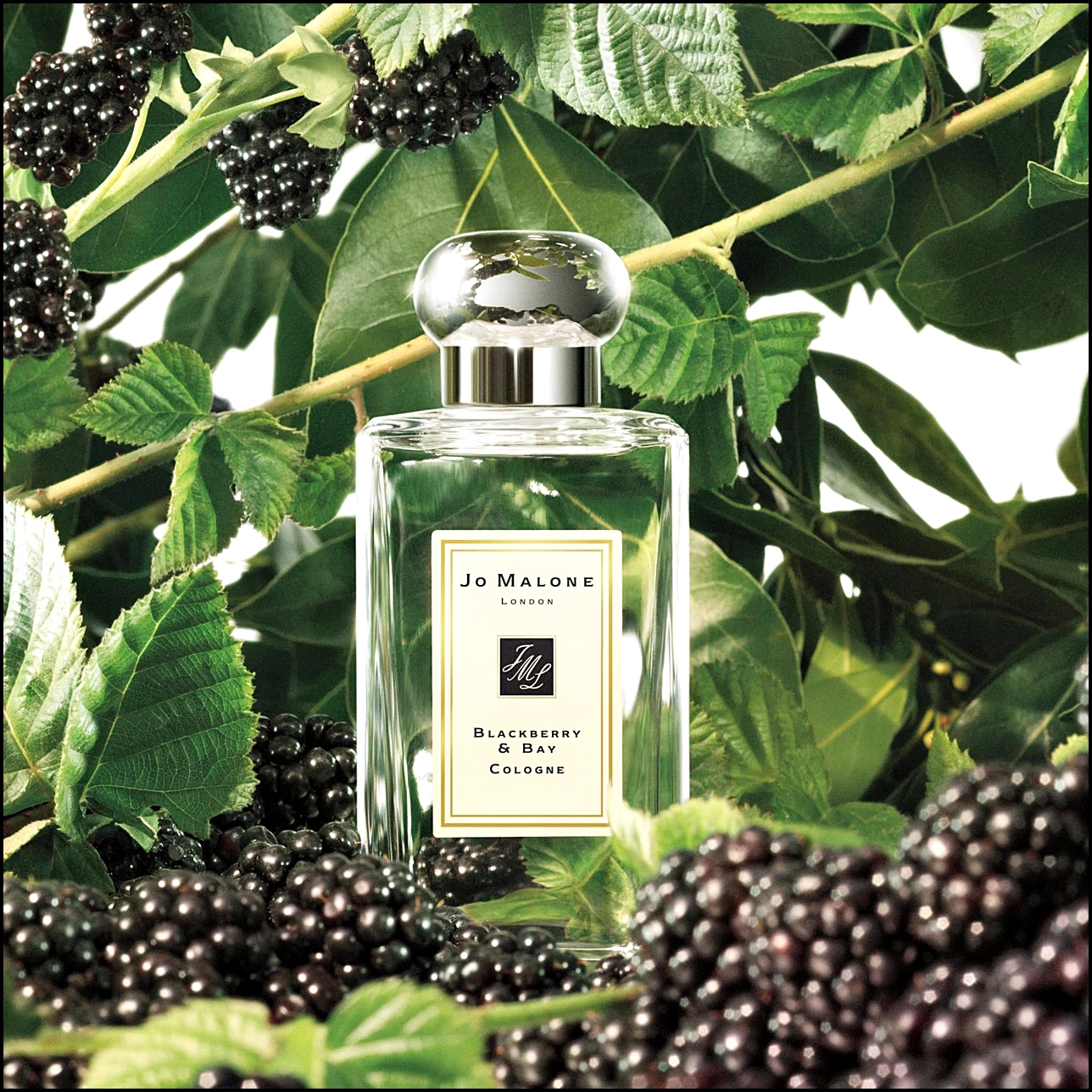 조말론 여자 향수 인기순위 BEST 5