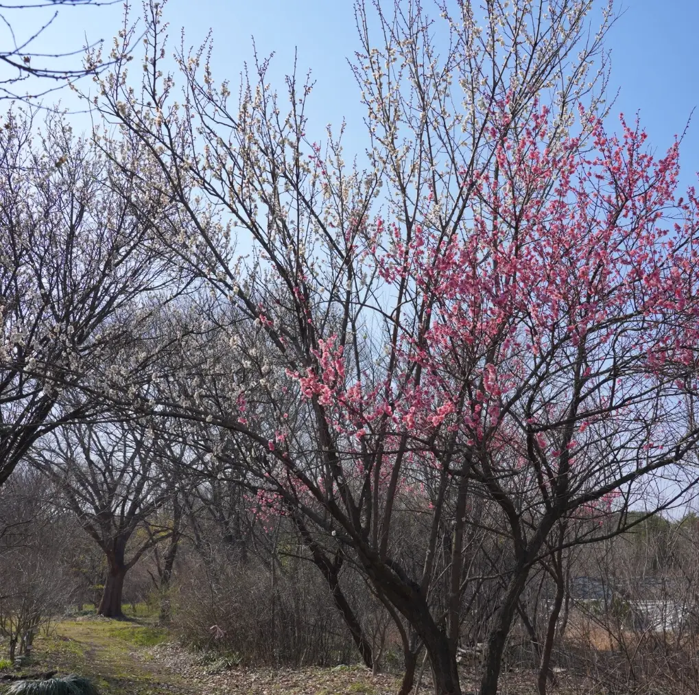 기청산식물원-입장료-무료입장-운영시간