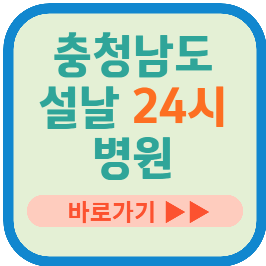 충청남도 설날 24시 병원