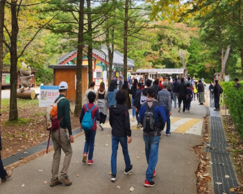 보은 대추축제 연계행사_2