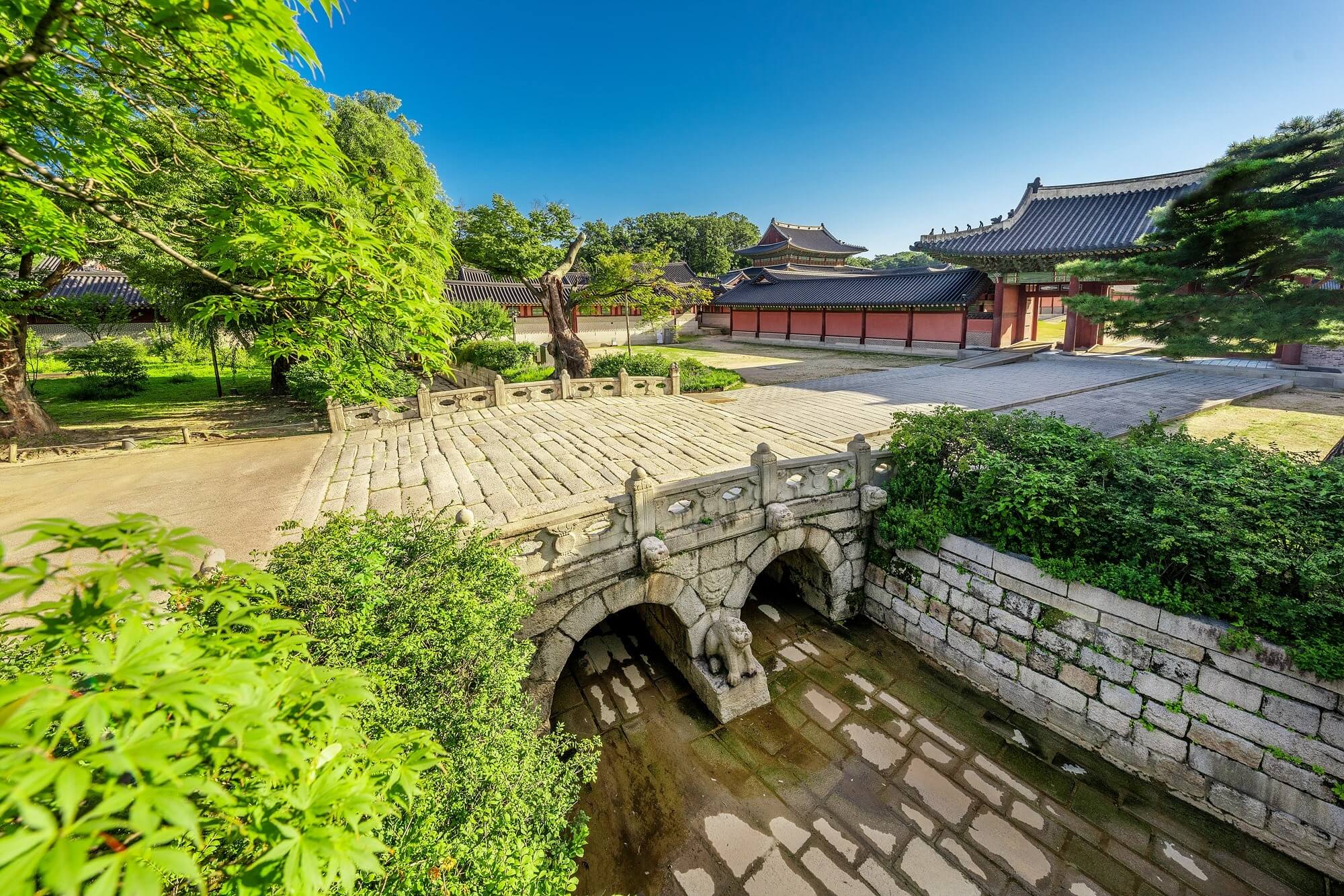 창덕궁 약방 개방 오미자차 시음