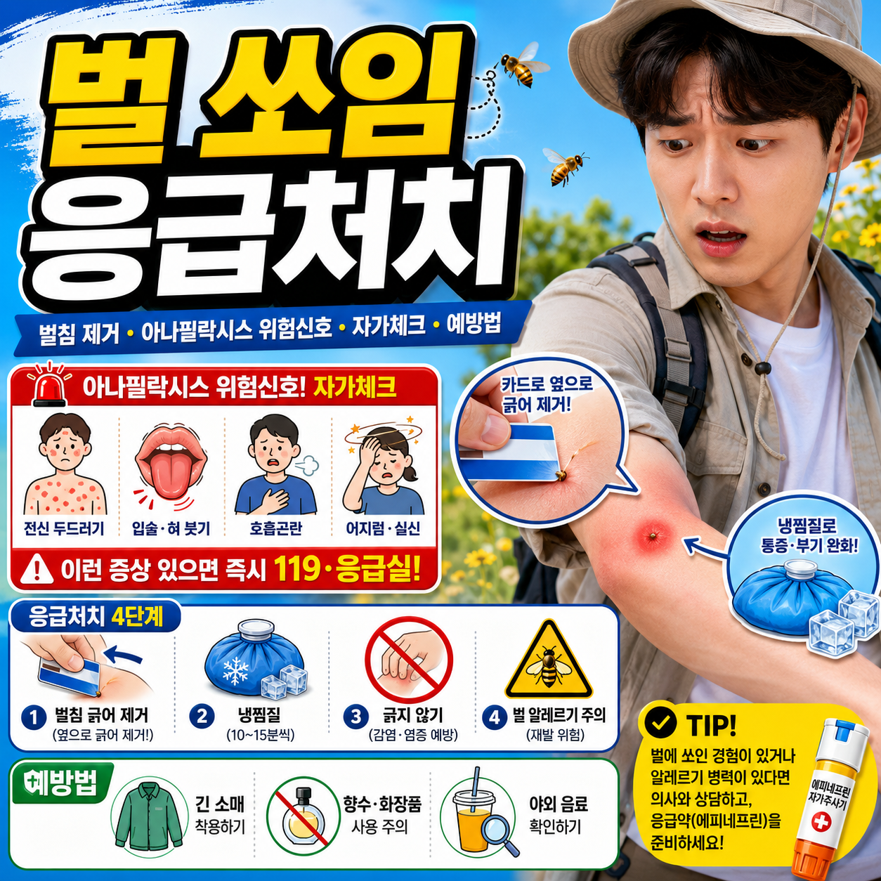벌 쏘임 응급처치 벌침 제거와 아나필락시스 위험신호 자가체크 예방 방법