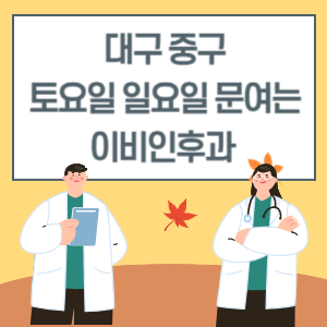 대구 중구 토요일 일요일 이비인후과 진료 문여는 병원 리스트