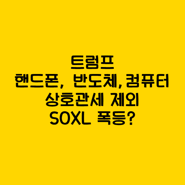 반도체 관세제외