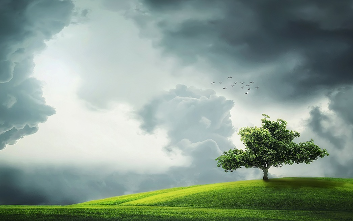 조상이-구름속으로-사라지는-꿈