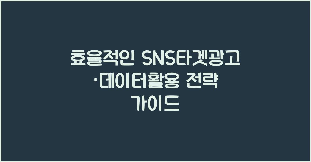 SNS타겟광고·데이터활용