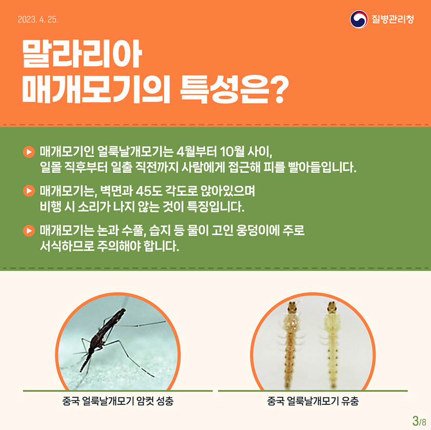 말라리아11