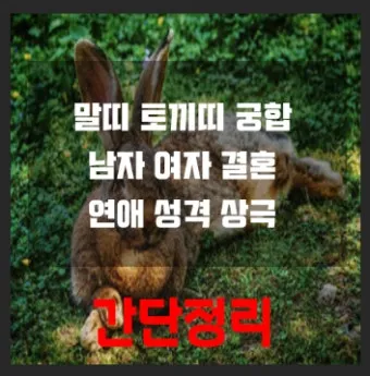 말띠 남녀 궁합 궁합표로 보는 결혼운 사랑운 종합 분석_17