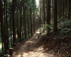 진악산