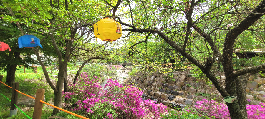 용문산 관광단지