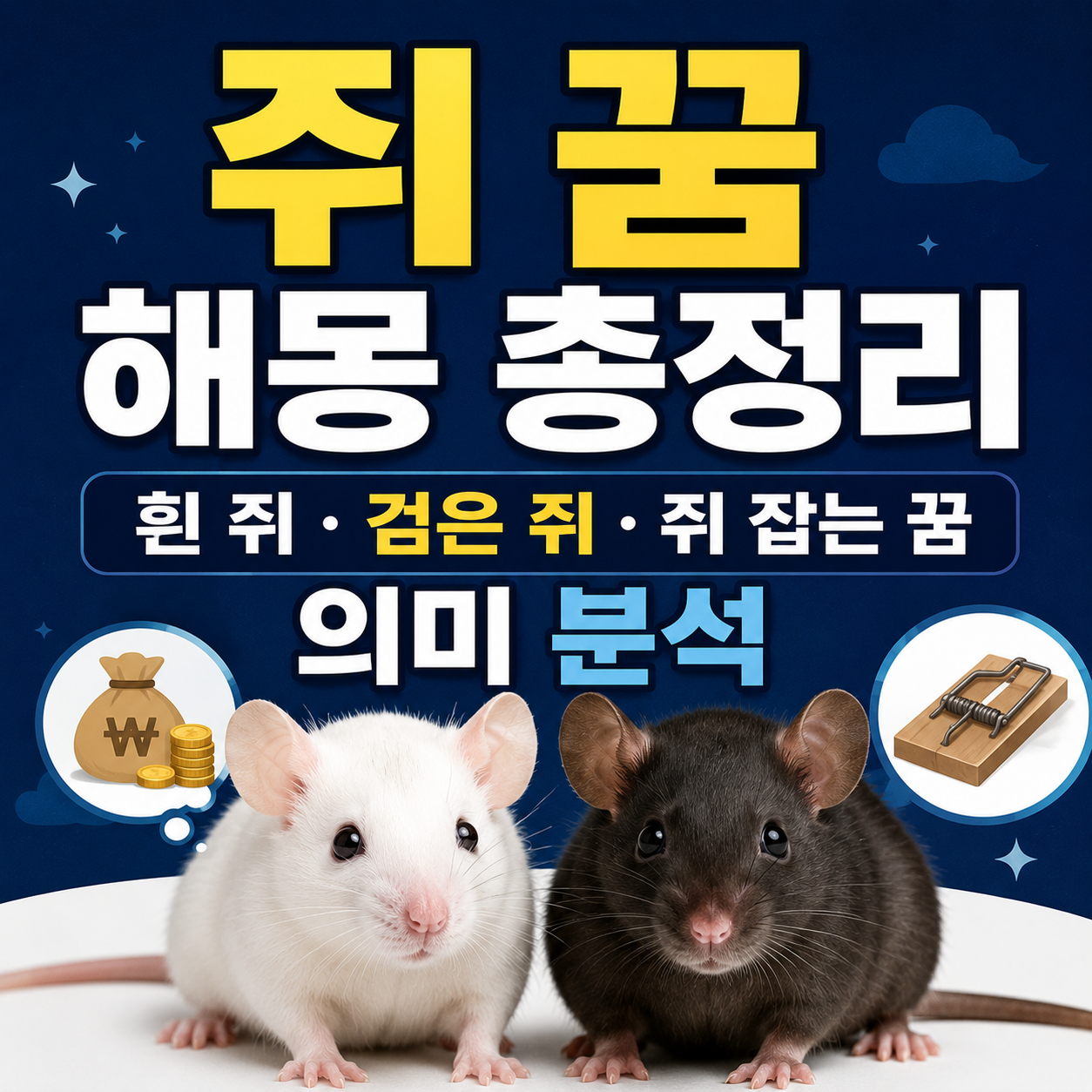 쥐 꿈
