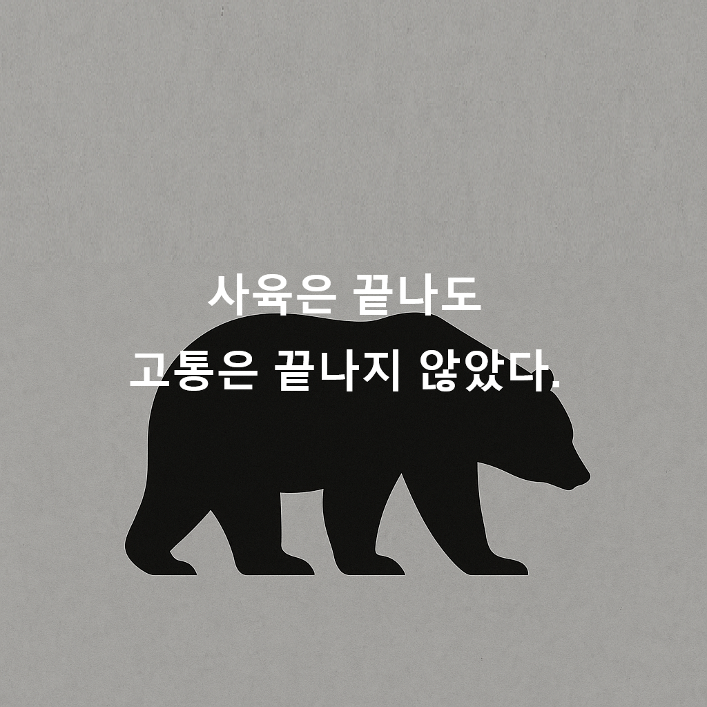 곰 사육 종식 앞둔 지금, 남겨진 곰들을 위한 보호 대책이 시급한 이유