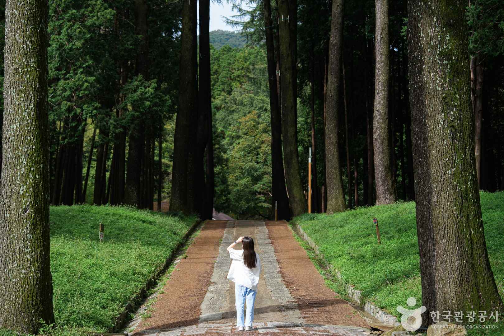 양산 법기수원지 편백숲