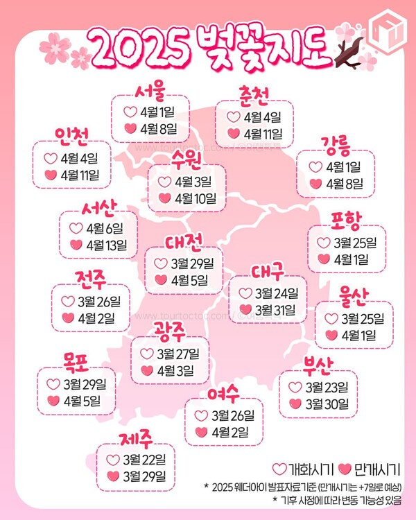 2025년 전국 벚꽃 개화 지도