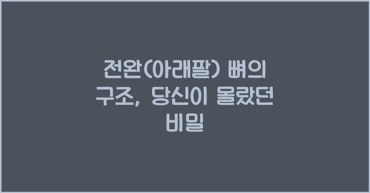 전완(아래팔) 뼈의 구조