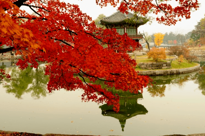 경복궁