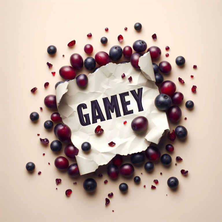 가메/가메이(Gamey)