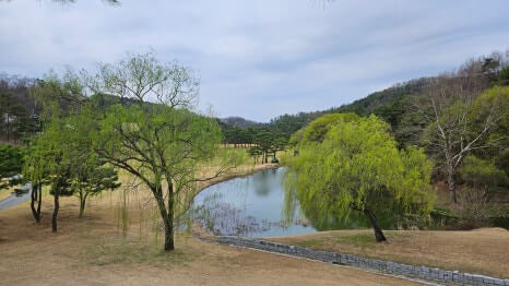골프장 경험담 청주 세레니티cc 단순한 골프장이 아니라&amp;#44; 자연과 설계&amp;#44; 건축이 어우러진 공간 미학의 산물 완벽에 가까운 골프장