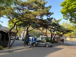 청화대 관람 인근 주차장 정보
