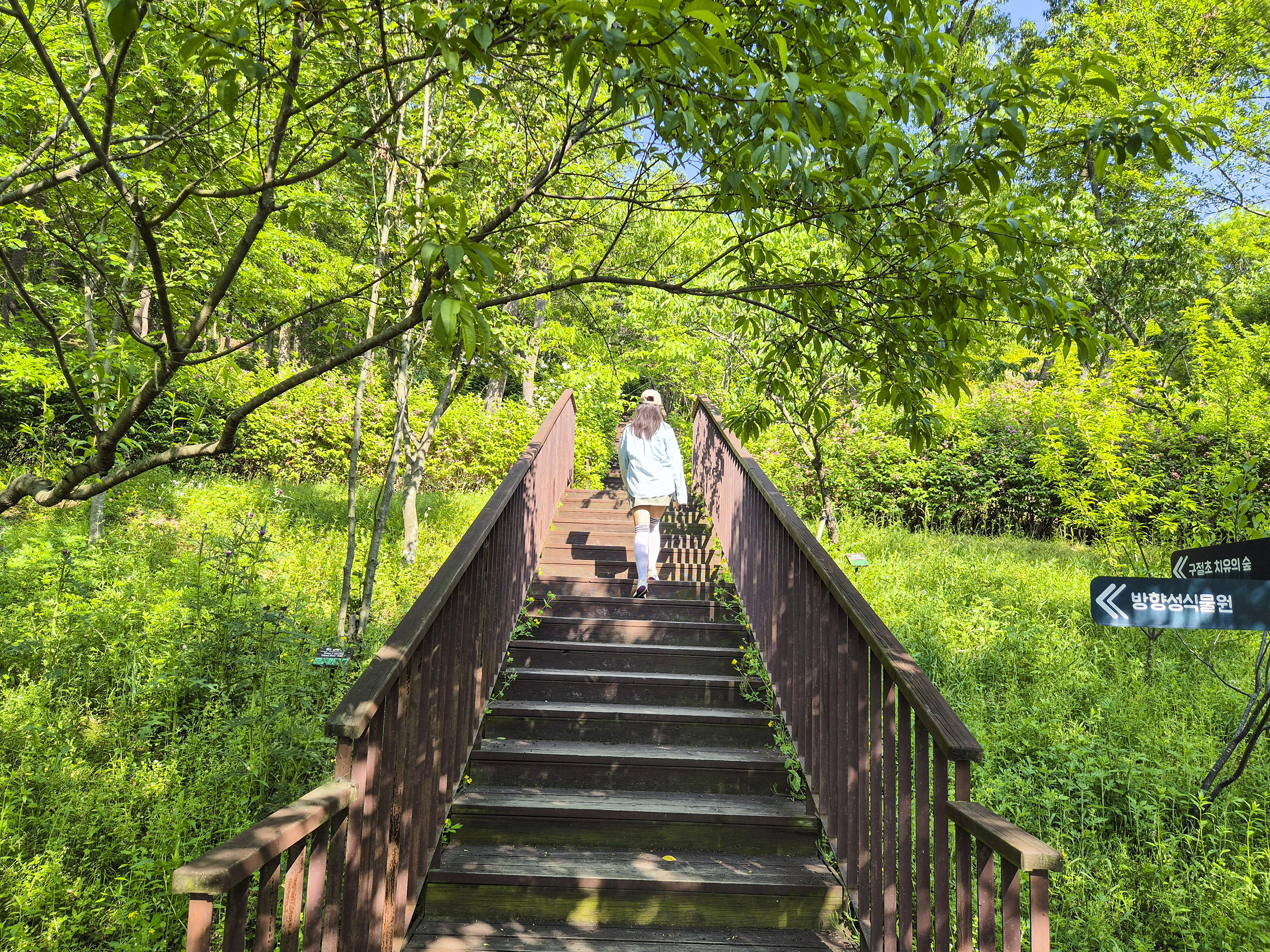 데크 계단을 따라 산으로 올라가는 모습