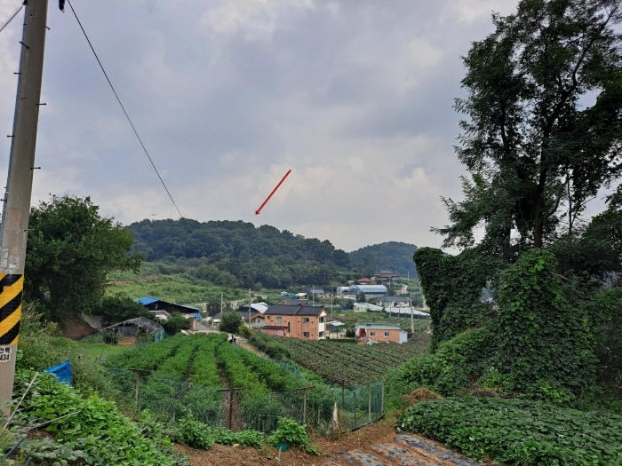 수원지방법원2021타경66465 본건 남측 원경