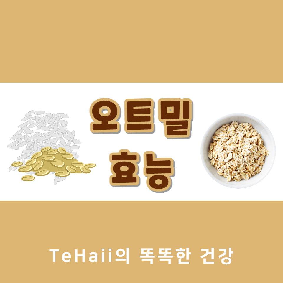 오트밀 효능 대표 이미지