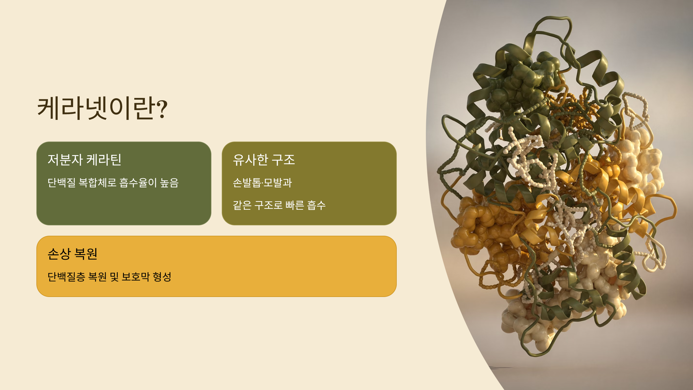 케라넷이란