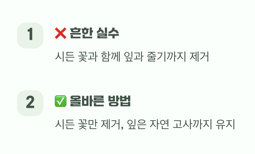 내년을 위한 약속, 꽃이 진 후의 관리