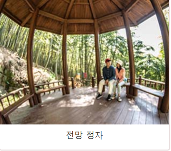 거제 맹종죽테마공원