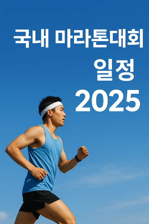 국내 마라톤대회 일정