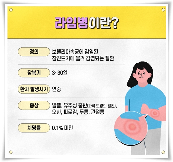 "진드기" 야외 활동의 숨은 적, 안전한 야외 활동을 위한 가이드!