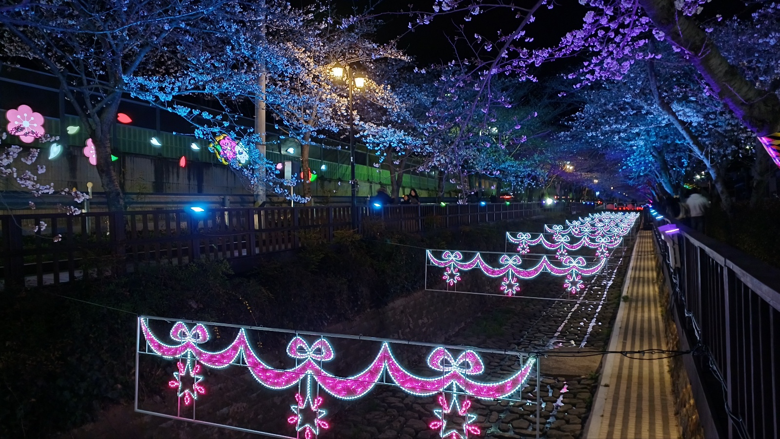 여좌천 벚꽃8