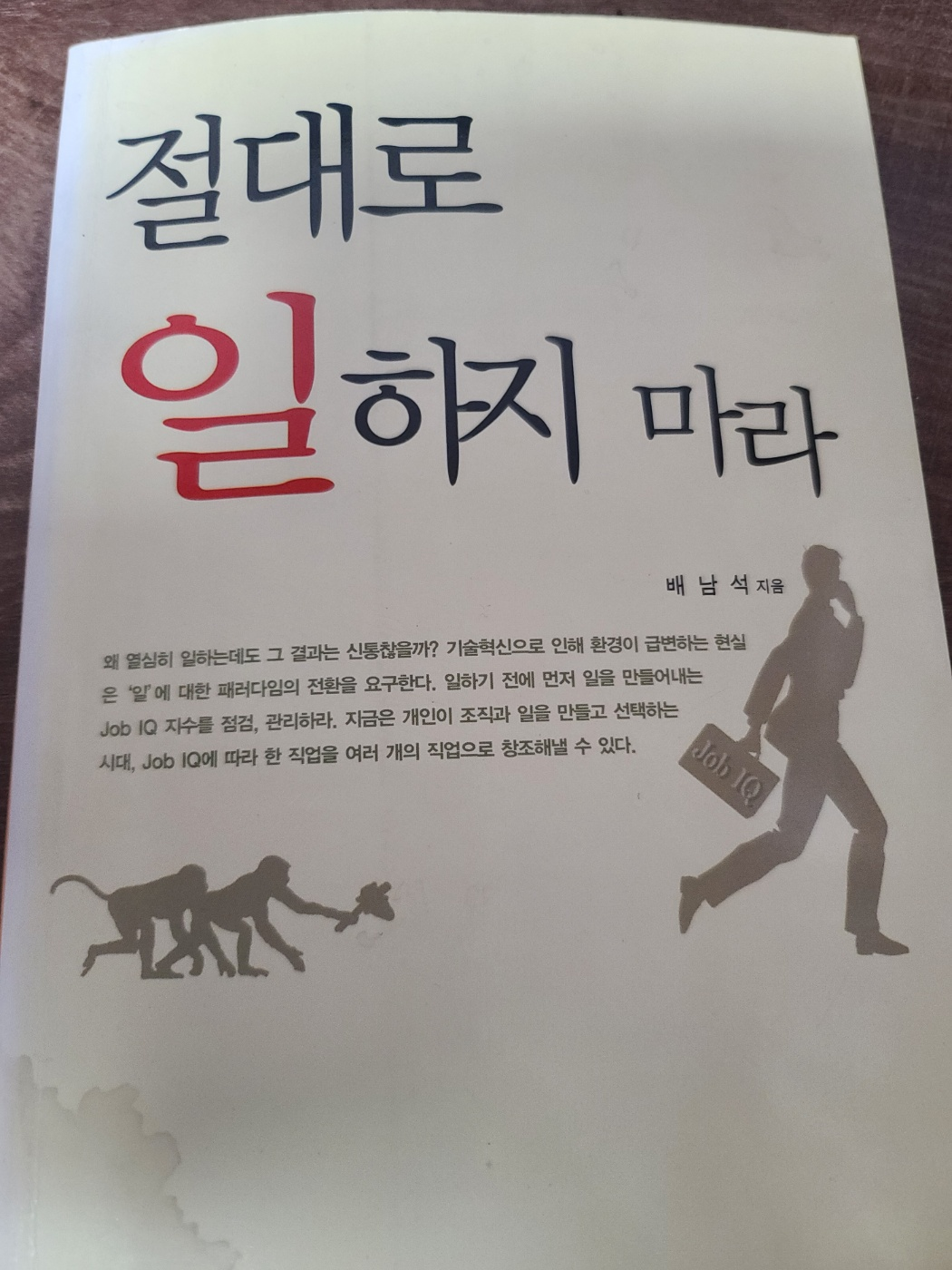 배남석&#44; 절대로 일하지 마라 책 표지