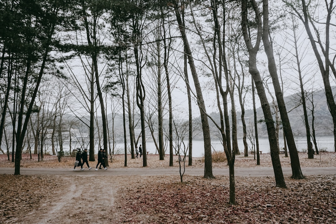 Nami Island