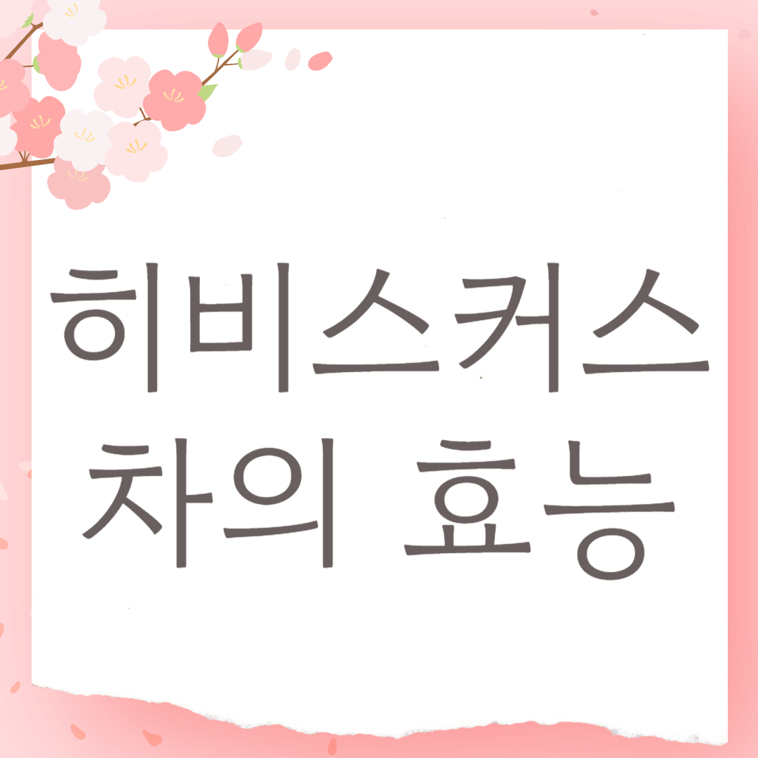 히비스커스 차 효능